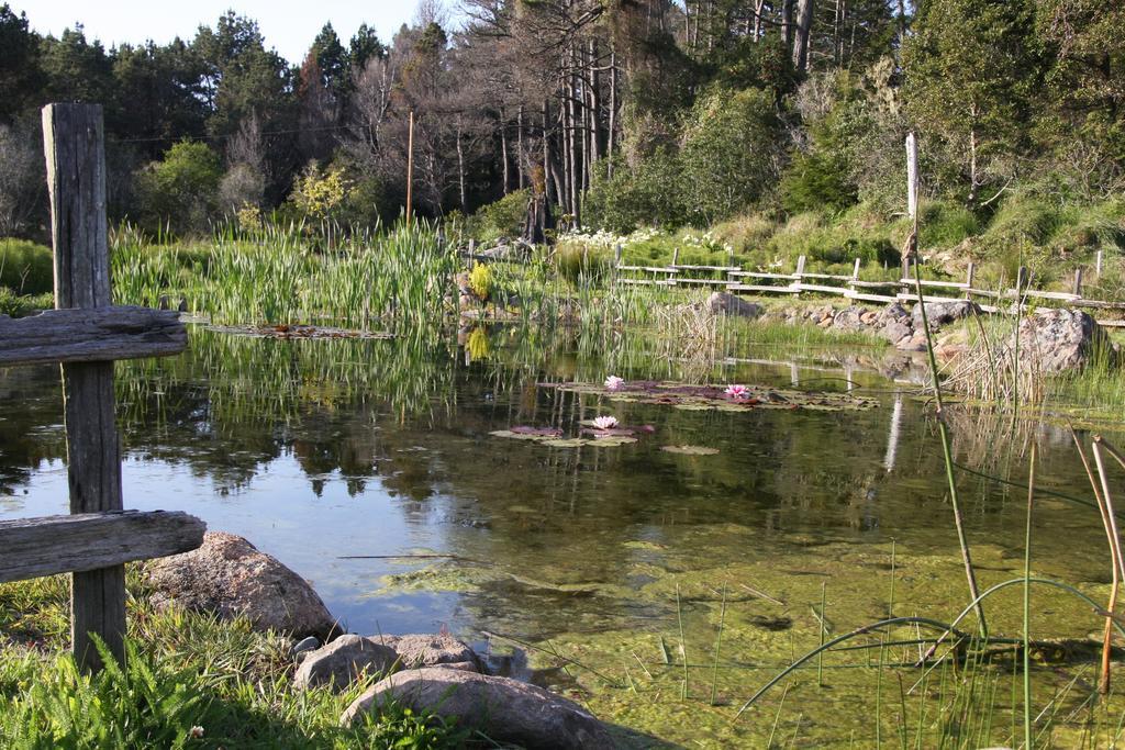 Brewery Gulch Inn & Spa Mendocino Ngoại thất bức ảnh