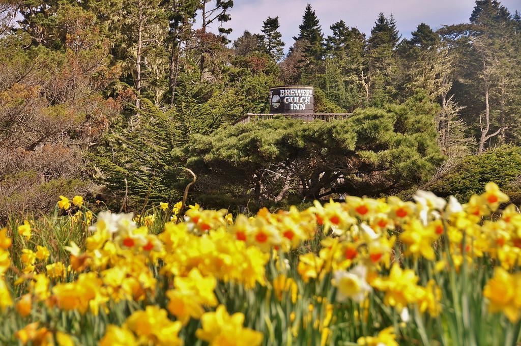 Brewery Gulch Inn & Spa Mendocino Ngoại thất bức ảnh